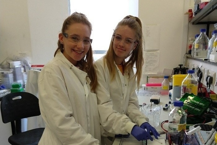 cancer research work experience year 12